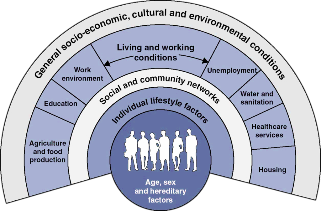 A graph image showing how general social-economic, cultural and environmental conditions can be affected by age, sex and hereditary factors